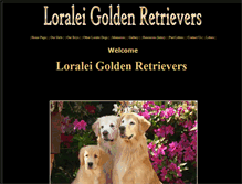 Tablet Screenshot of loraleigoldens.com